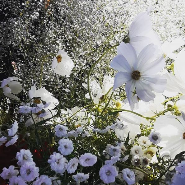 white wedding flowers wanaka